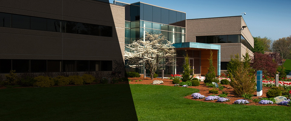 Ocean Park Landscapers