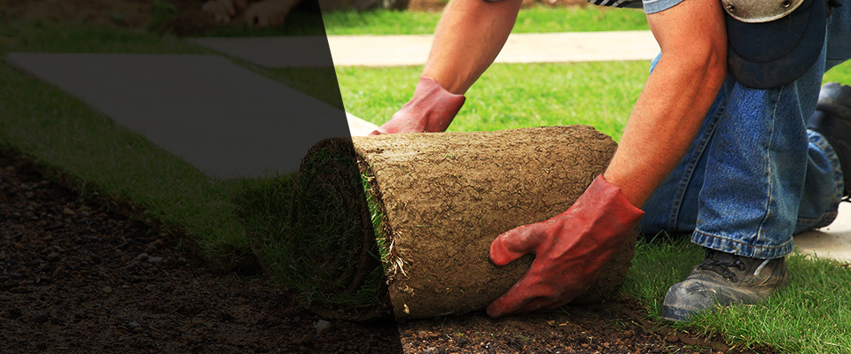 Ocean Park Landscapers